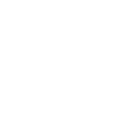 مرکز النخيل